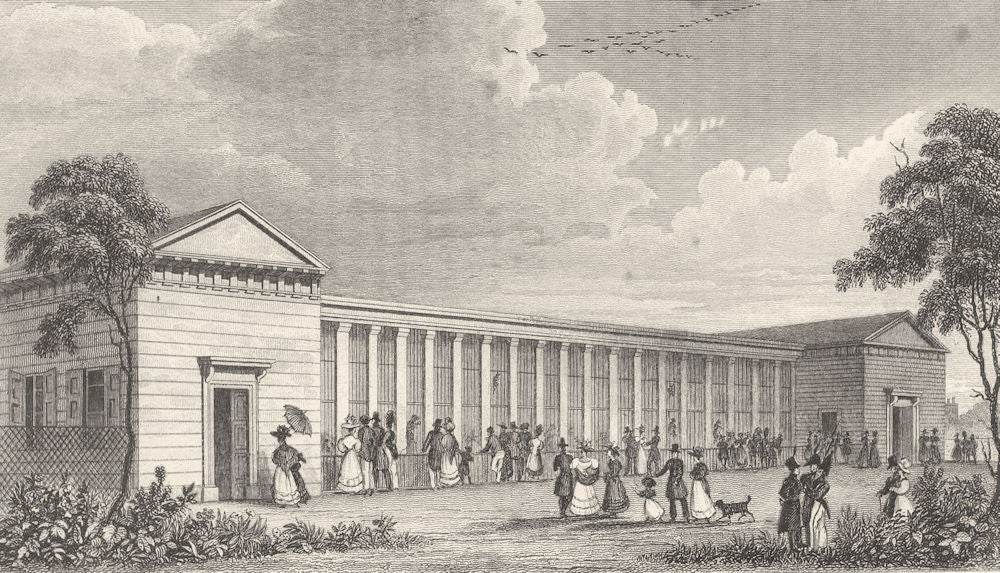 PARIS. Menagerie Jardin des Plantes 1831 old antique vintage print picture